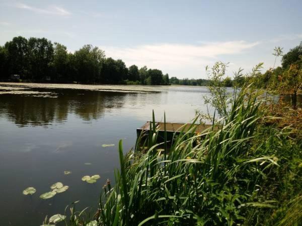 Вилла Pokoje Kama Затор Экстерьер фото