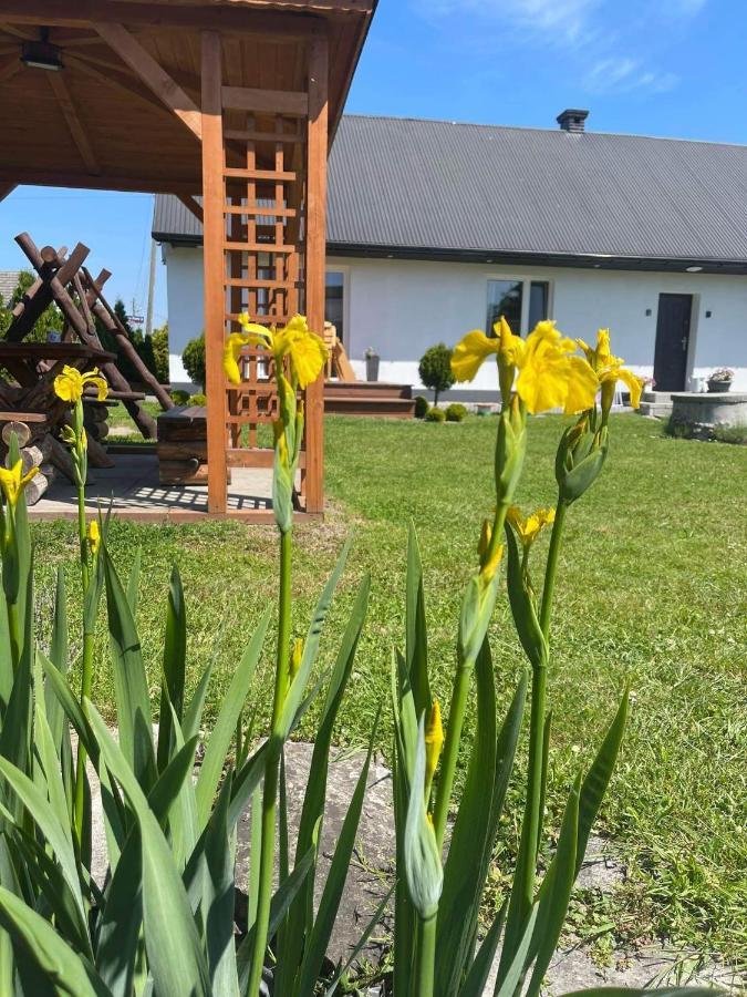Вилла Pokoje Kama Затор Экстерьер фото